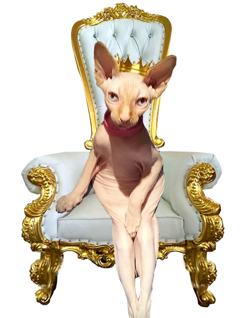 mozzie-throne-crown-updated